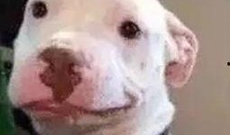 娱乐圈吃瓜微信公众号,吃瓜群众必看幕后真相！